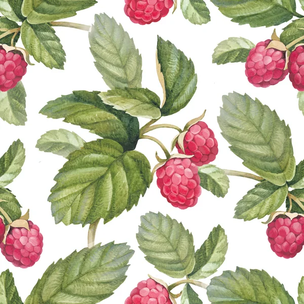 Pattern with watercolor raspberry — Stock Photo, Image