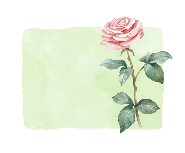 Ilustração aquarela de rosa flor . — Fotografia de Stock