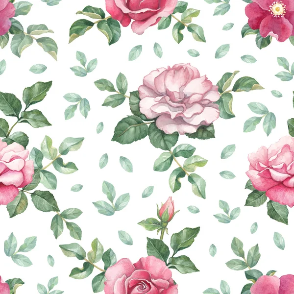 Akvarel vzorek s růží — Stock fotografie