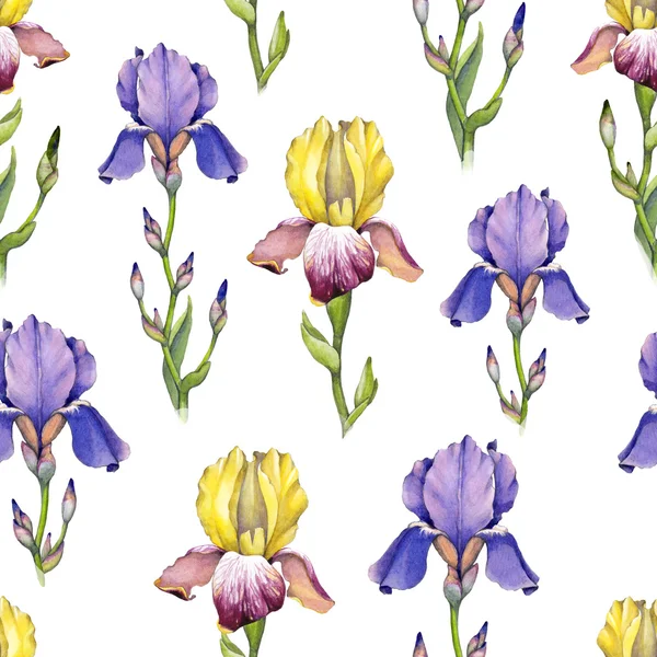 Modello di fiori iris acquerello — Foto Stock
