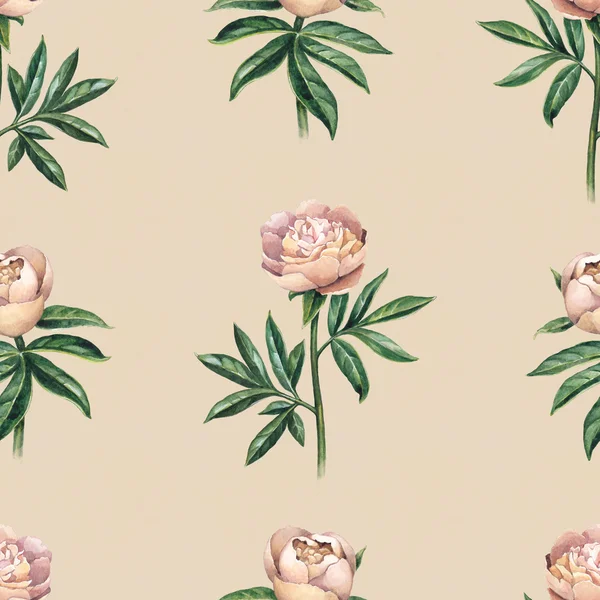 Watercolor peony flowers  pattern — Stock Photo, Image