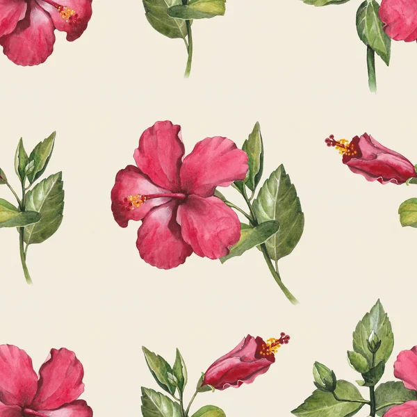 Acuarela hibisco flores patrón —  Fotos de Stock