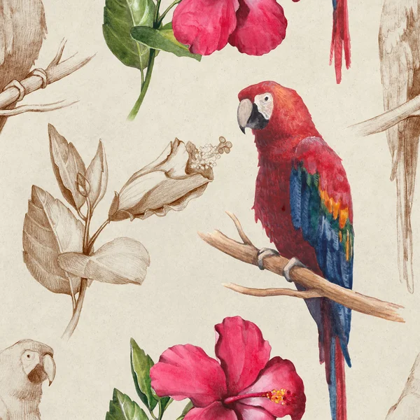 Macaw and hibiscus flower  pattern