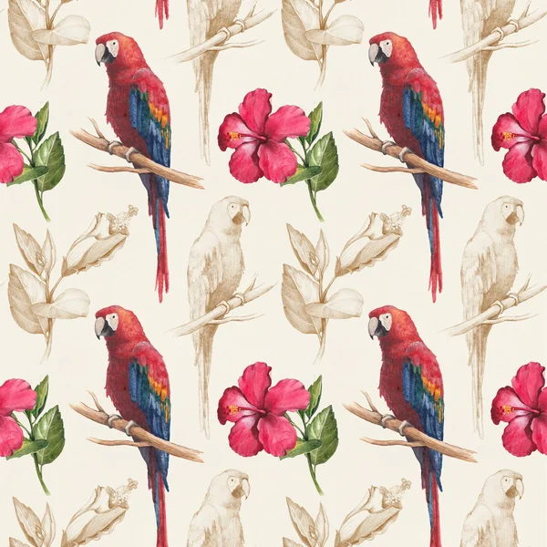 Macaw and hibiscus flower drawings. — Stock Photo, Image