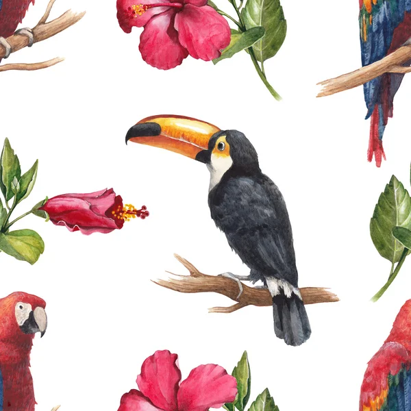 Suluboya toucan ve papağan desen — Stok fotoğraf