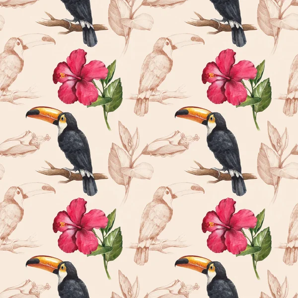 Toucan and hibiscus flower drawings. — Stock Photo, Image