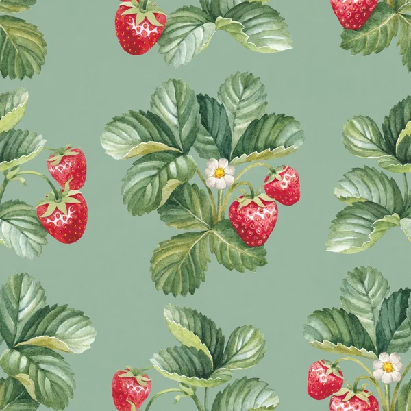 Seamless mönster med jordgubbe buske — Stockfoto