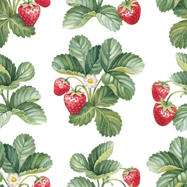 Pattern with strawberry bushes — Stock Photo, Image