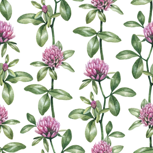 Watercolor clover flowers — Stock Photo, Image