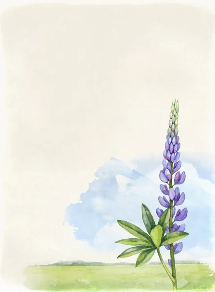 Illustration of summer landscape — Stock Photo, Image