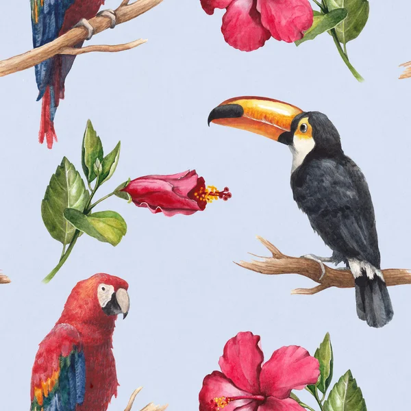 Akvarel ptáci Tukan a papoušek. — Stock fotografie