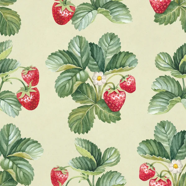 模式与草莓灌木丛 — 图库照片