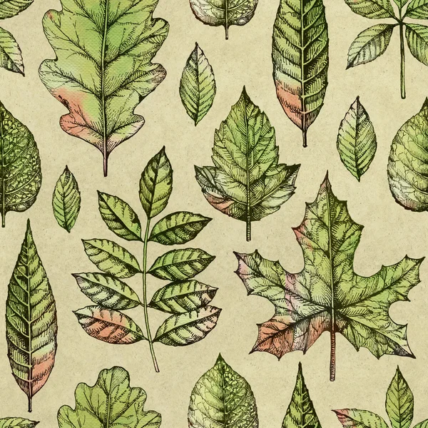 Seamless pattern with a leaves drawing — Stock Photo, Image