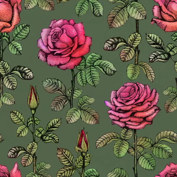 Seamless pattern with rose illustrations — Stock Photo, Image