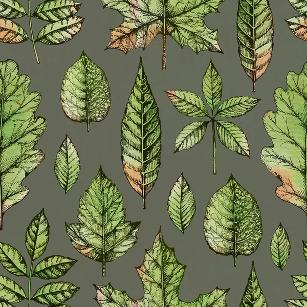 Seamless pattern with a leaves drawing — Stock Photo, Image