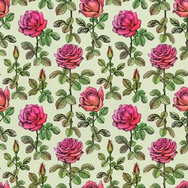 Modèle sans couture avec des illustrations roses — Photo