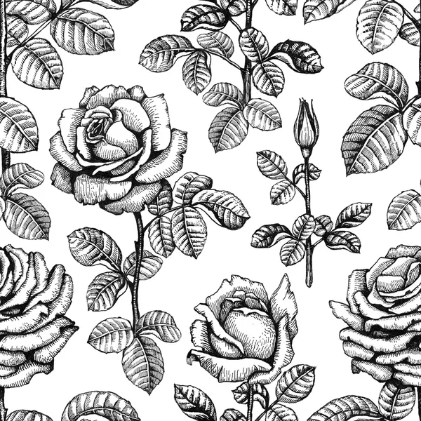 Naadloze patroon met roos illustraties — Stockfoto
