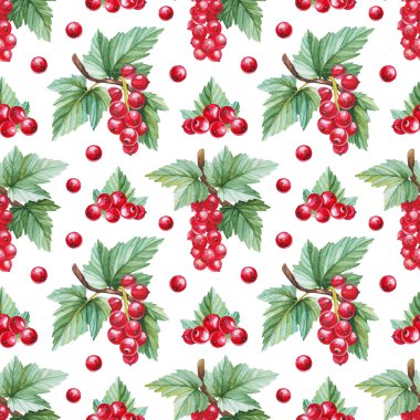 Kırmızı kuş üzümü suluboya çizimi ile Seamless Modeli