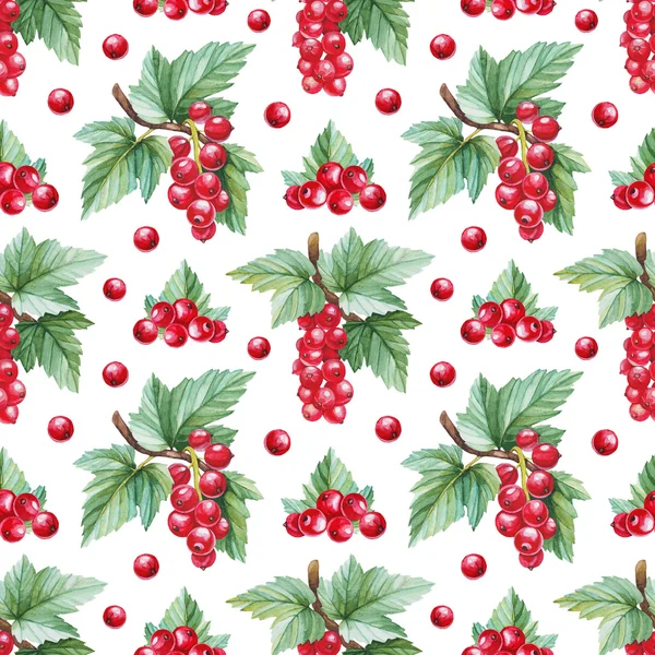 Kırmızı kuş üzümü suluboya çizimi ile Seamless Modeli