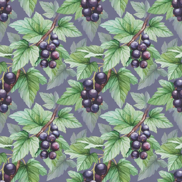 Seamless pattern with watercolor black currants illustration — Stock Photo, Image