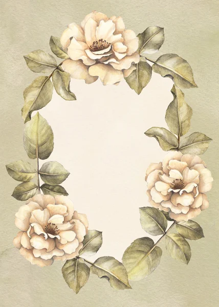 バラの花を水彩画の背景 — ストック写真