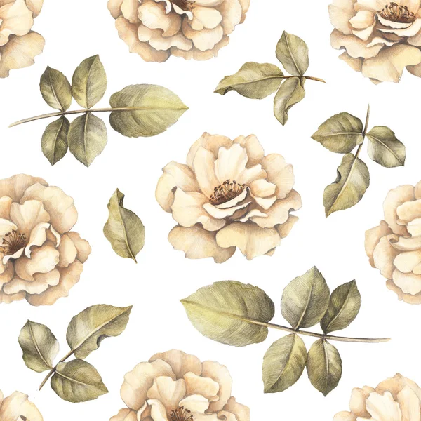 Nahtloses Muster mit Zeichnungen von Rosenblüten — Stockfoto