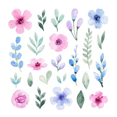 Suluboya çiçekleri