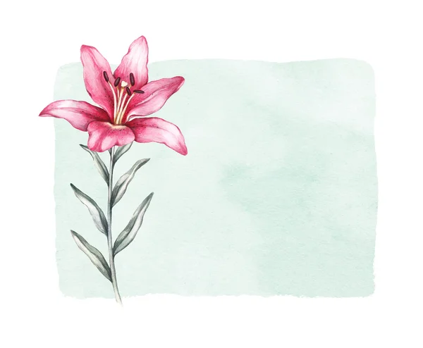 Aquarel lily bloem — Stockfoto