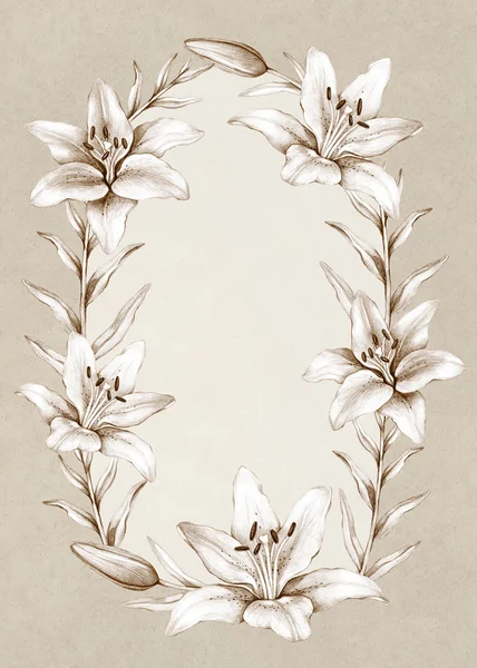 Background with drawing of lily flowers. Perfect for greeting ca — Stock Photo, Image