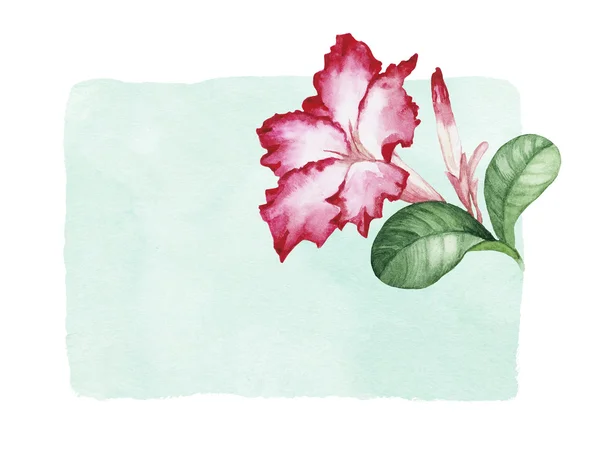 Akvarel llustration tropických květin — Stock fotografie