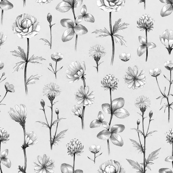 Wild flowers illustration. Seamless pattern — Stock Photo, Image