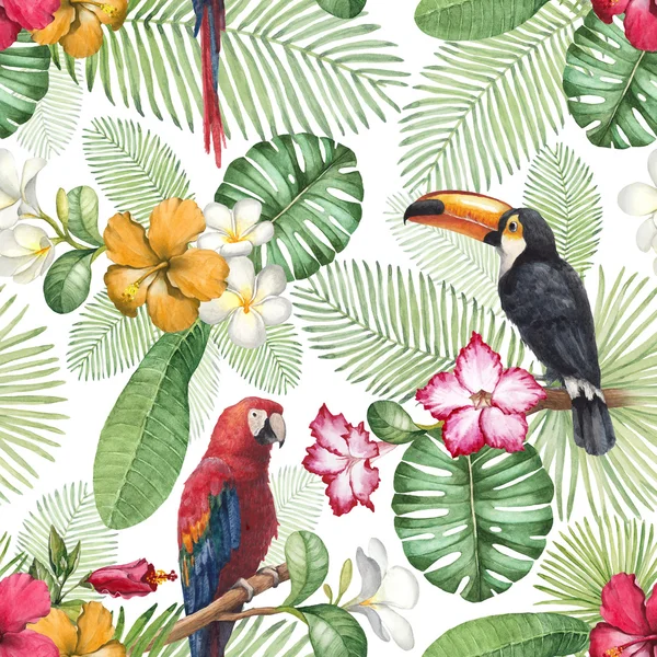 Watercolor toucan and parrot. Seamless pattern — Stock Photo, Image