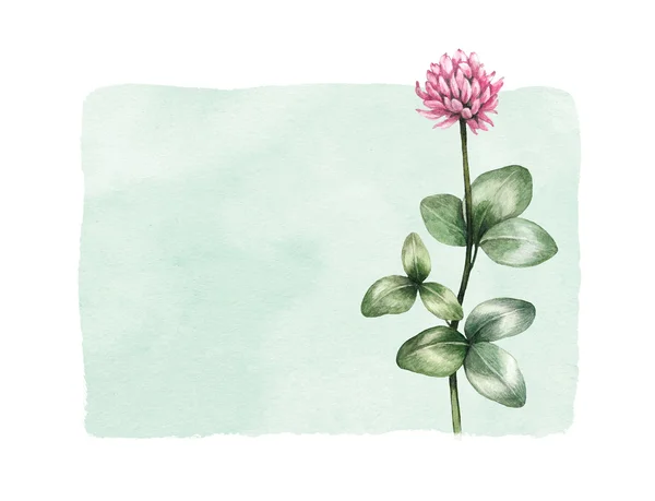 Acuarela flor salvaje ilustración — Foto de Stock