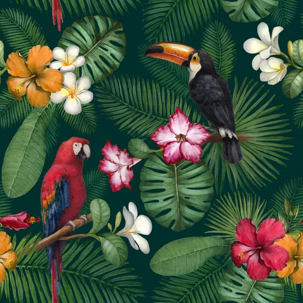 Aquarelle toucan et perroquet. Modèle sans couture — Photo