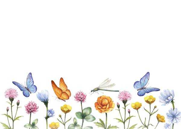 Akvarel divoké květiny. Letní pozadí — Stock fotografie