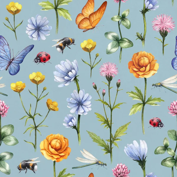 Wild flowers and insects illustration. Watercolor summer pattern — Stock Photo, Image