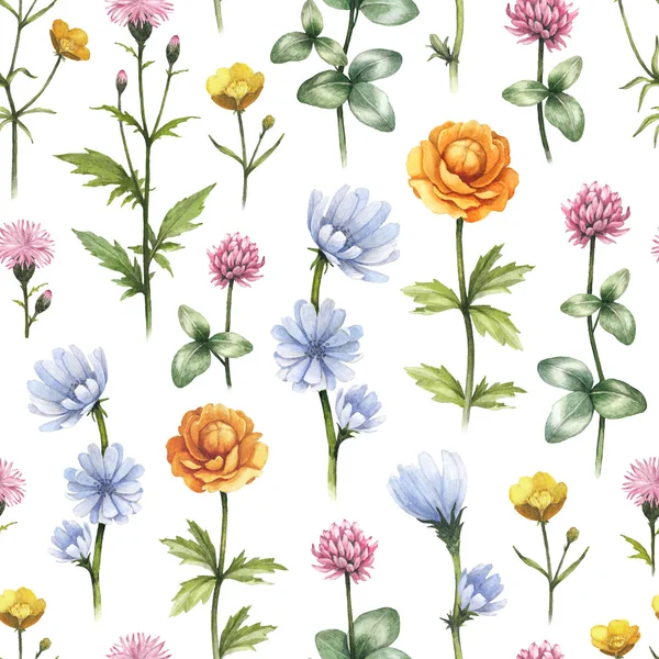 野生の花のイラスト。水彩画のシームレスなパターン — ストック写真