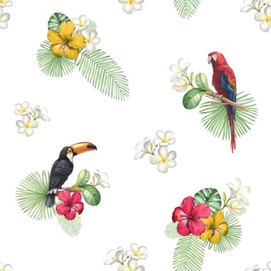 Suluboya toucan ve papağan. Seamless modeli