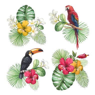 Watercolor illustrations of tropical flowers and birds clipart