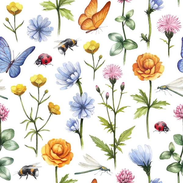 Illustration von Wildblumen und Insekten. Sommermuster in Aquarell — Stockfoto