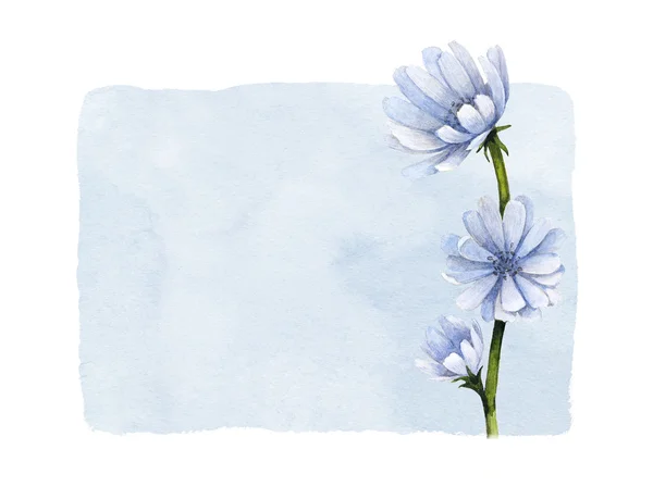 Sulu Boya vahşi çiçek şekil — Stok fotoğraf