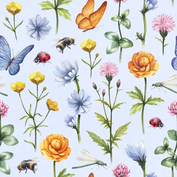 Wild flowers and insects illustration. Watercolor summer pattern — Stock Photo, Image