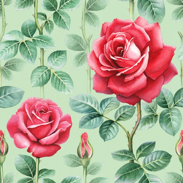 Acuarela rosa flores ilustración. Patrón sin costura —  Fotos de Stock