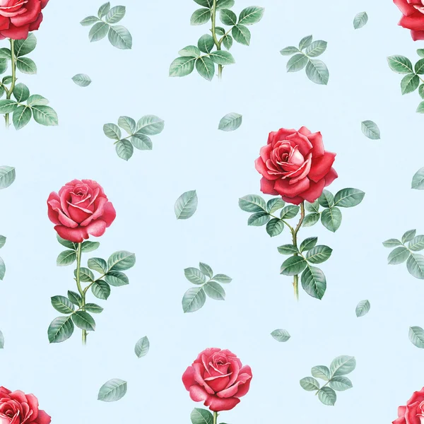 Εικονογράφηση ακουαρέλα ροδαλά λουλούδια. Χωρίς ραφή πρότυπο — Φωτογραφία Αρχείου