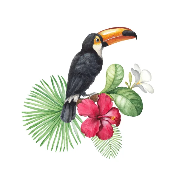 Tropik çiçekler ve toucan suluboya çizimi — Stok fotoğraf