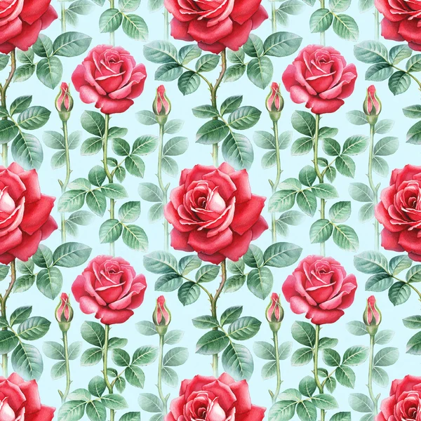 Watercolor rose flowers illustration. Seamless pattern — Stock Photo, Image