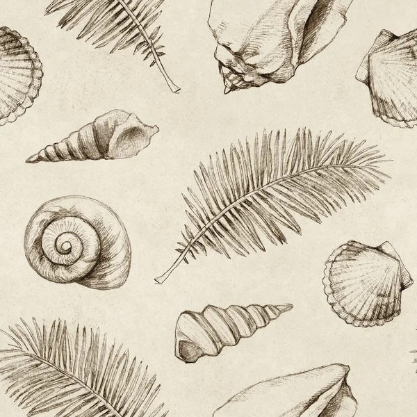 Seamless pattern with drawings of sea shells and palm leaves — Stock Photo, Image