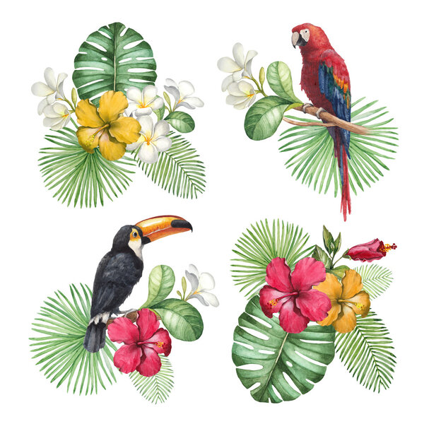 Watercolor illustrations of tropical flowers and birds