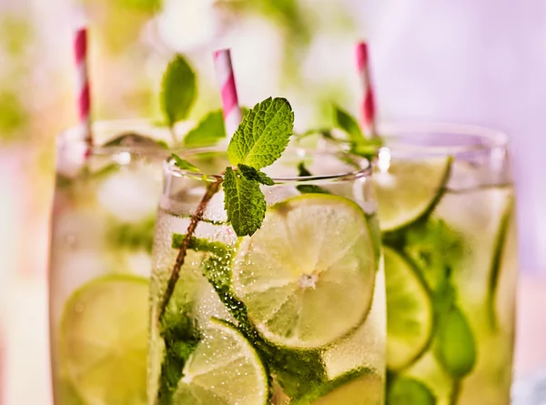 Em tábuas de madeira óculos com mohito de limão e palha . — Fotografia de Stock