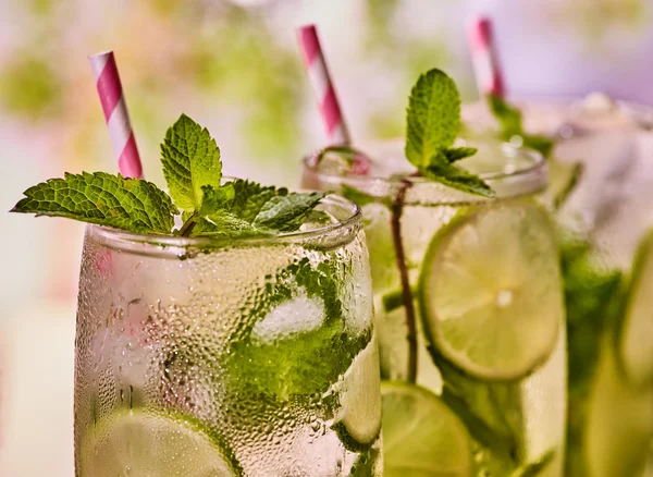 Em tábuas de madeira óculos com mohito e hortelã sprig . — Fotografia de Stock